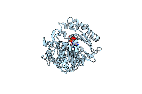 5U7V image