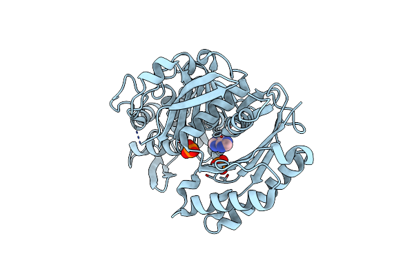 5U7W image