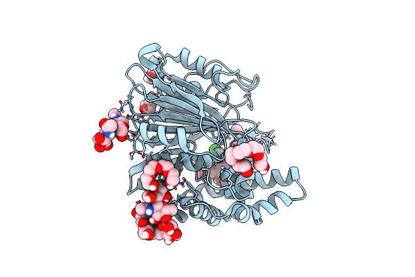 5U81 image