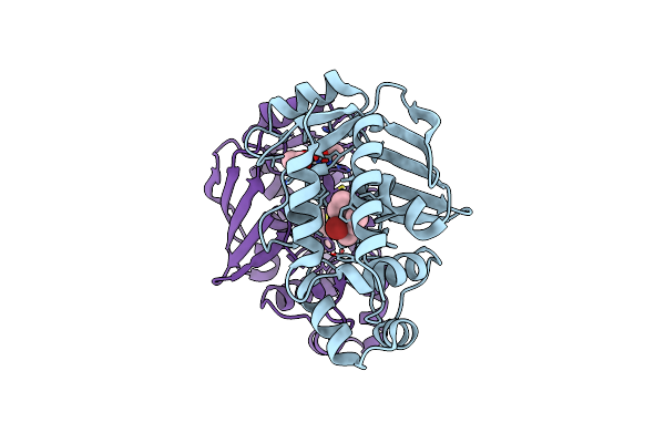 5U82 image