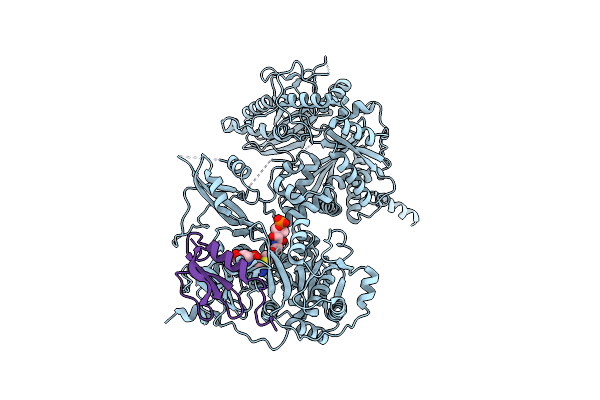 5U89 image