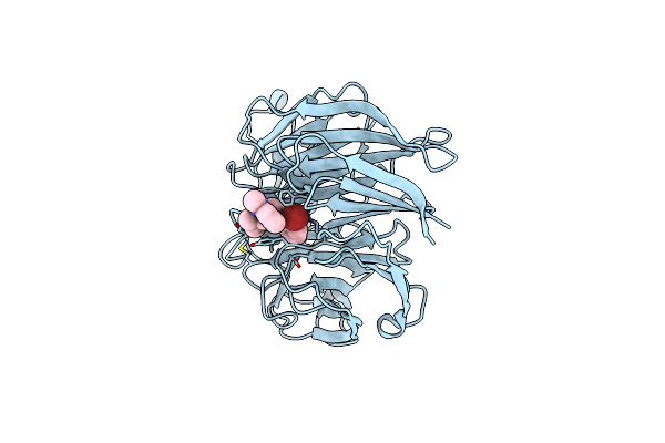 5U8A image