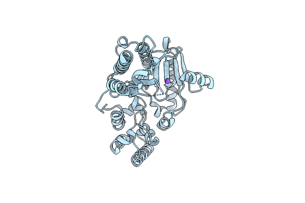5U8E image