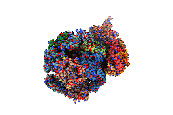 5U8S image