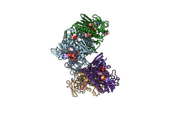 5U8W image