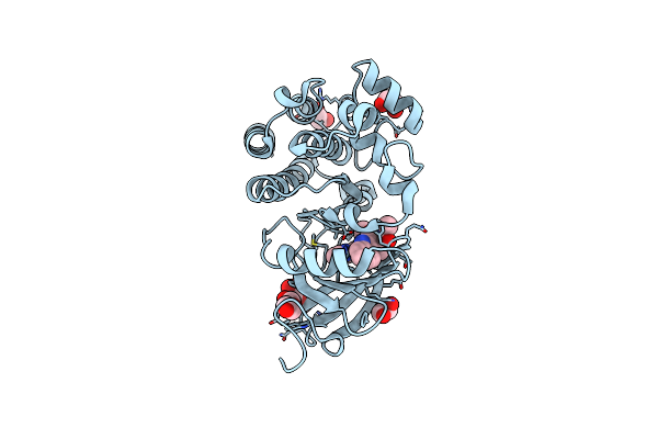 5U9D image