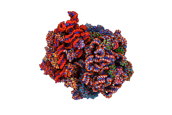 5U9G image