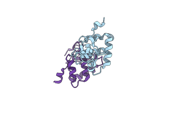 5UBD image