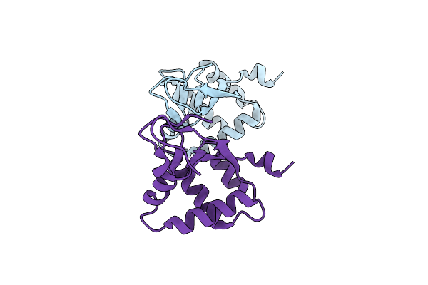 5UBE image