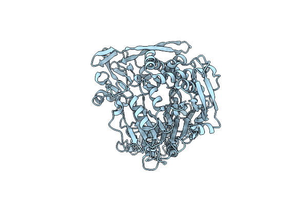 5UBL image