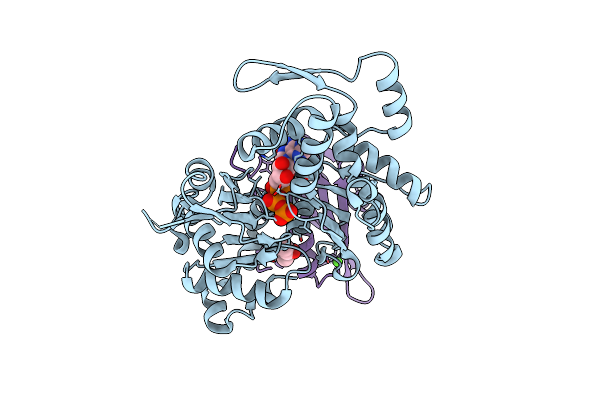 5UBO image