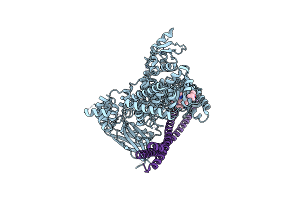 5UBT image