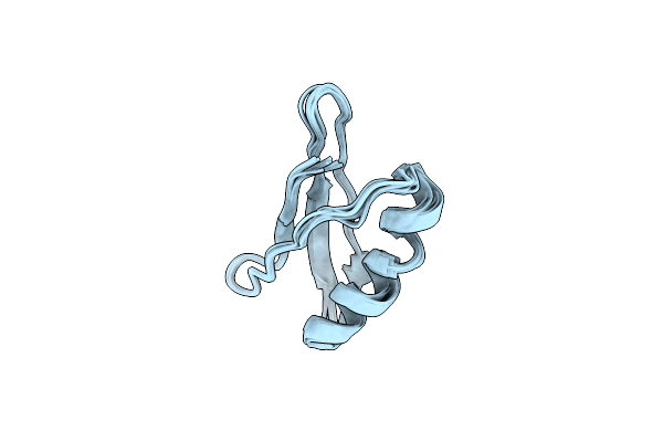 5UCE image
