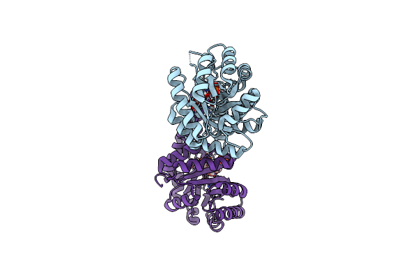 5UCP image