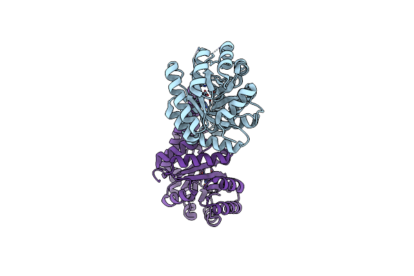 5UD1 image