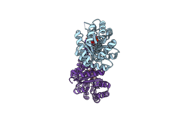 5UD2 image
