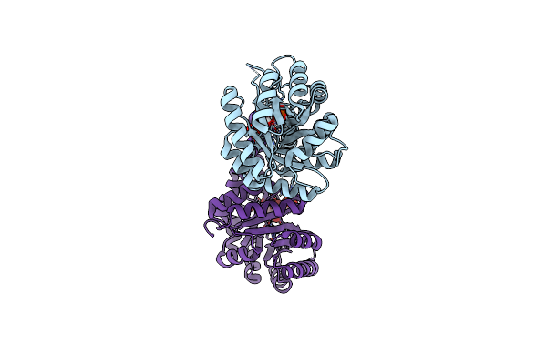 5UD4 image
