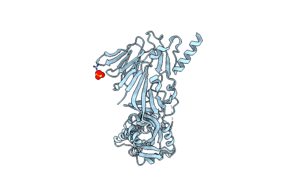 5UDE image