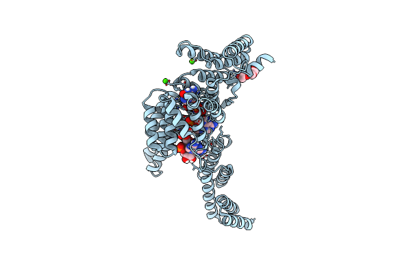 5UDJ image