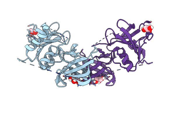 5UDN image