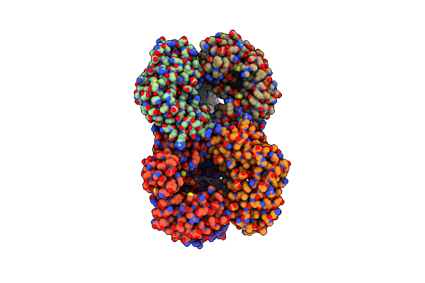 5UDV image