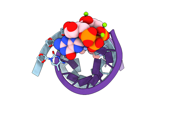 5UEE image