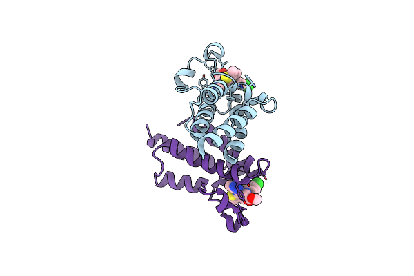 5UEU image