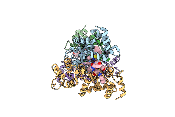 5UFI image