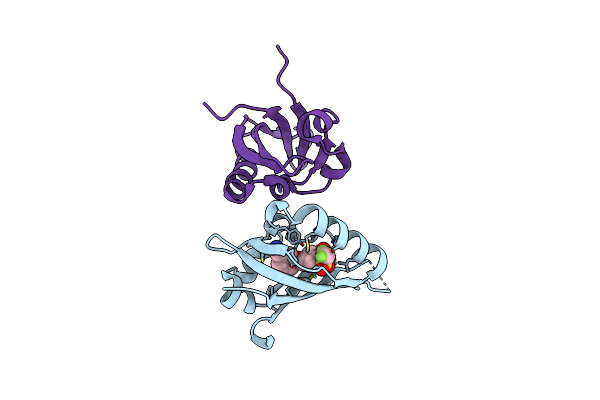 5UFP image