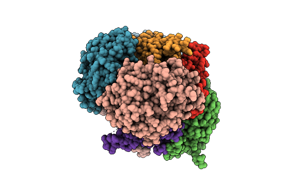 5UHP image