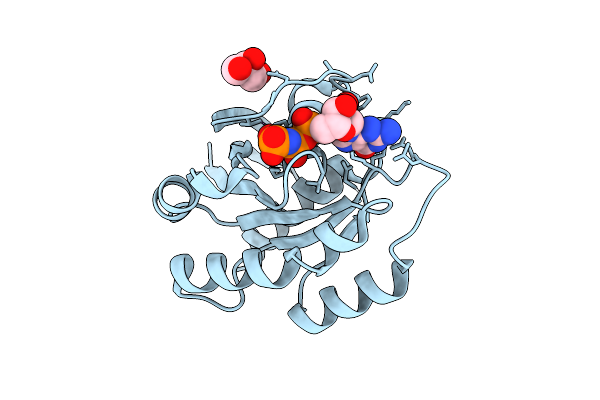 5UHV image