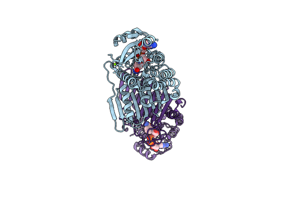 5UHW image