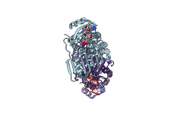 5UHZ image