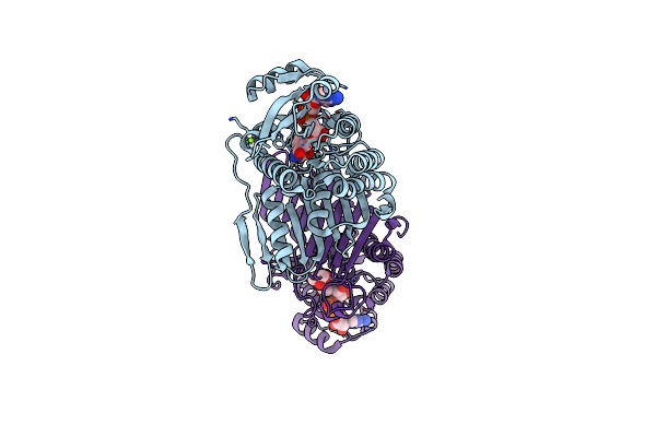 5UIA image