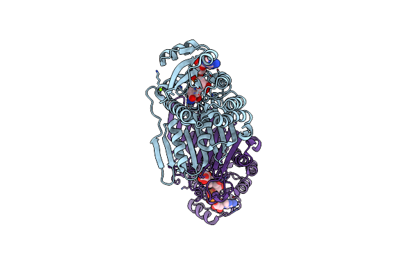 5UIB image
