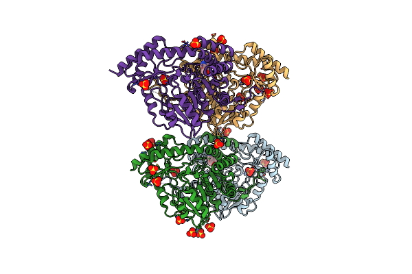 5UID image