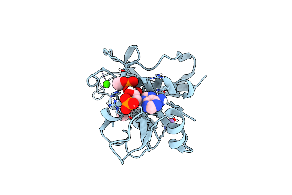 5UII image