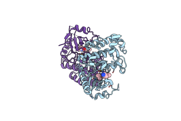 5UIR image