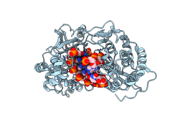 5UJ2 image