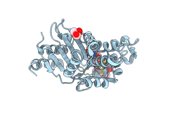 5UJ3 image