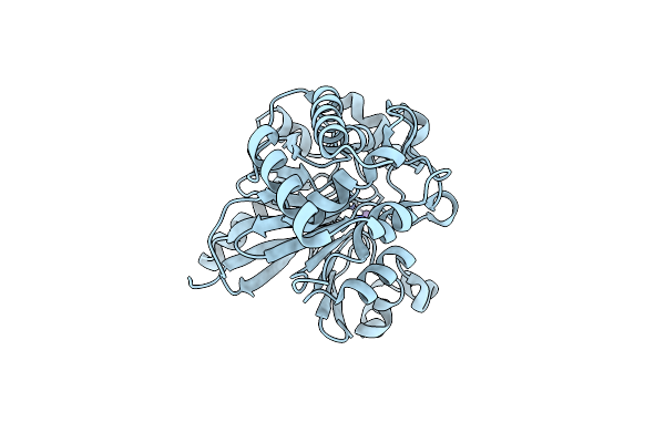 5UKI image