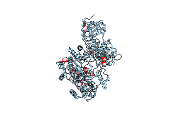 5UL2 image