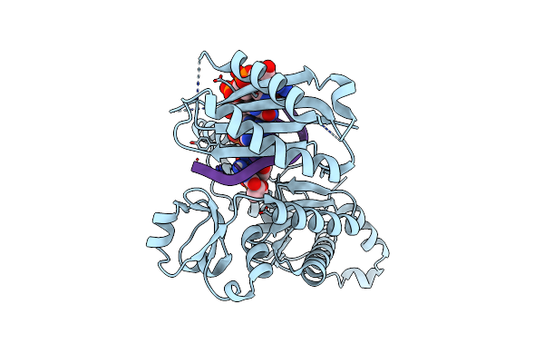 5ULX image
