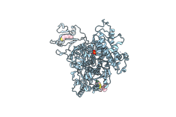 5UM6 image