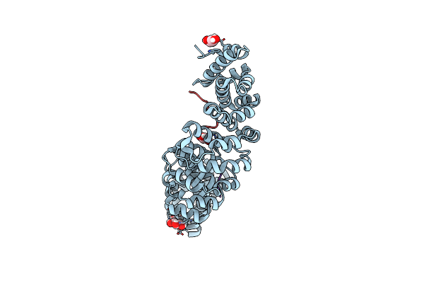 5UMZ image