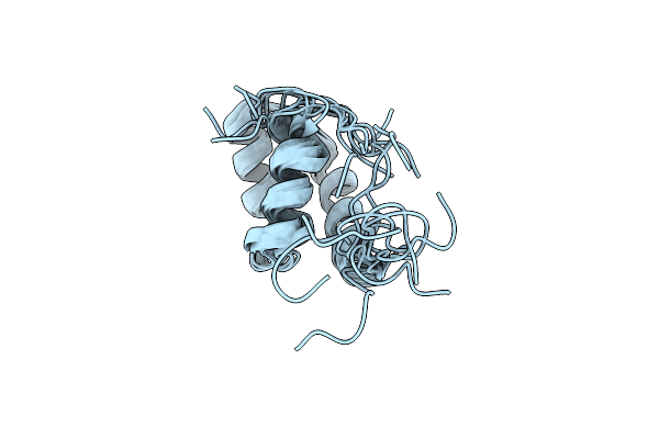 5UNK image