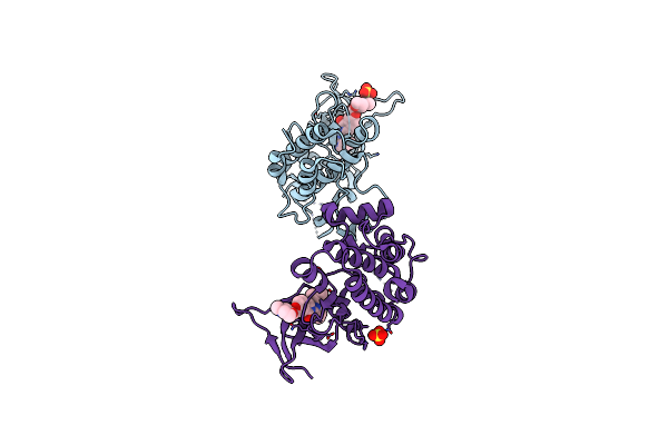 5UOR image
