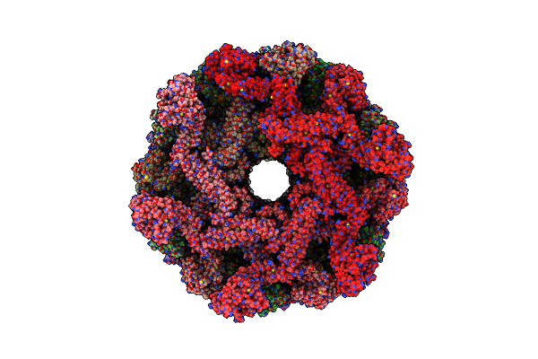 5UOT image