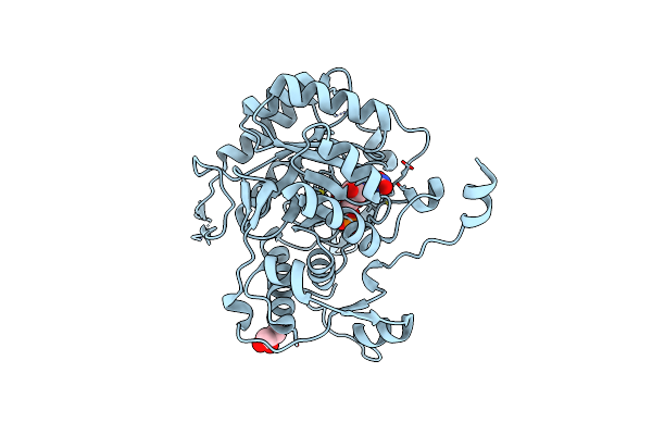 5UPX image