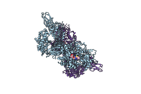 5URM image